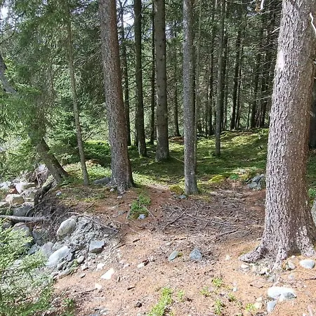 Graynite-forest Bivouac مكان تخييم *